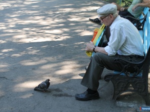 ������ ��������