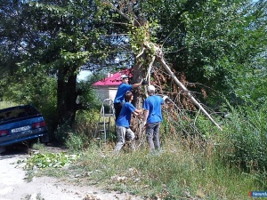 ������� ���� ������� �����