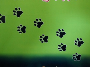 �������� ������ ����� ���