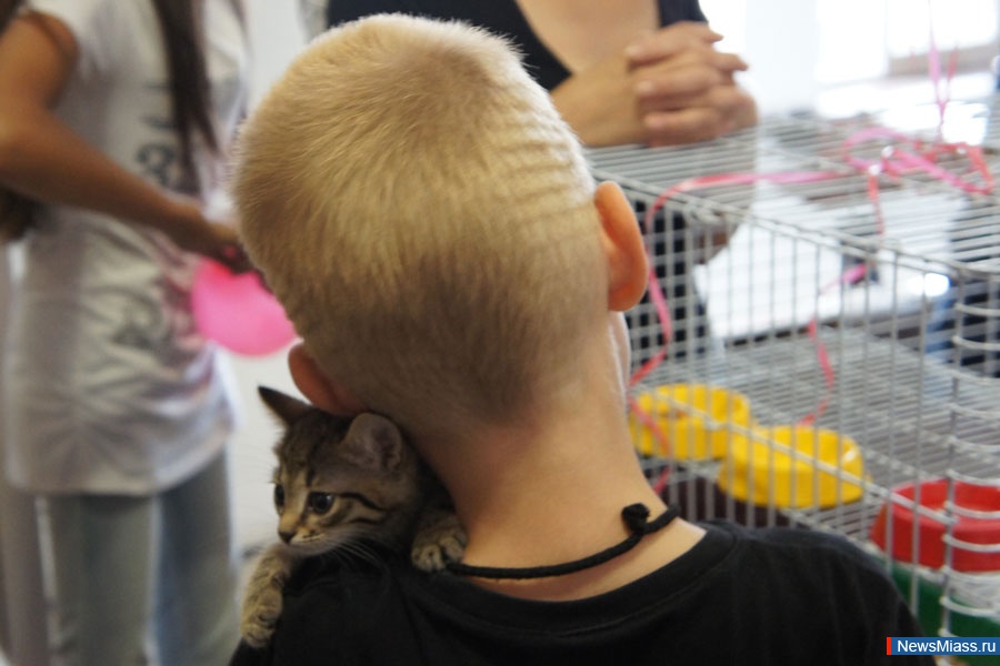    .  " ",      ,     ""