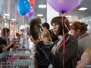 �������� ������ ����� ���