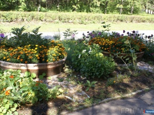 ��������� ����� �����������