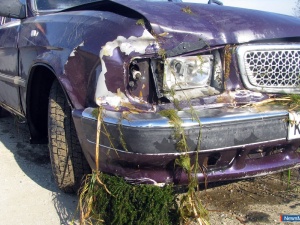 "�����" ������� � ���� �����