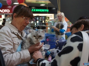 ����� ����� ��� � ���������� ������