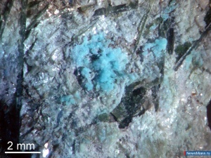 ����� ������� - ����������������