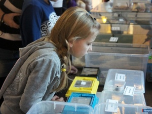 �������� ����� � ����������