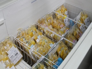 �������� ��������� ������� ����� � ��������