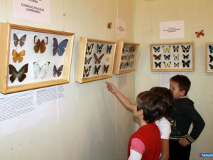 ������� ����