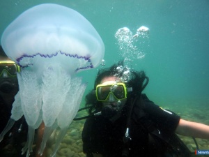 "��� ��� � ��������� ������������"