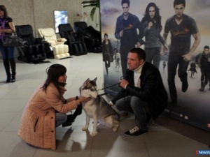 �������� ����������