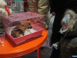 ���������� ����� ��������