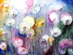 "���� ��� ���"