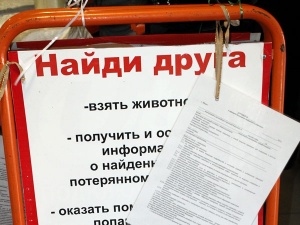 ����� ���������