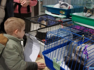 ����� ��� ��� ��������