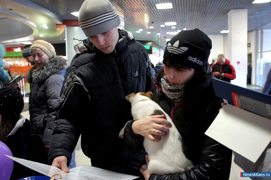 "Ҹ " -  .   "Ҹ "      ,     