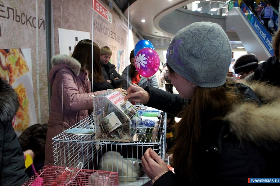 "Ҹ " -  .   "Ҹ "      ,     