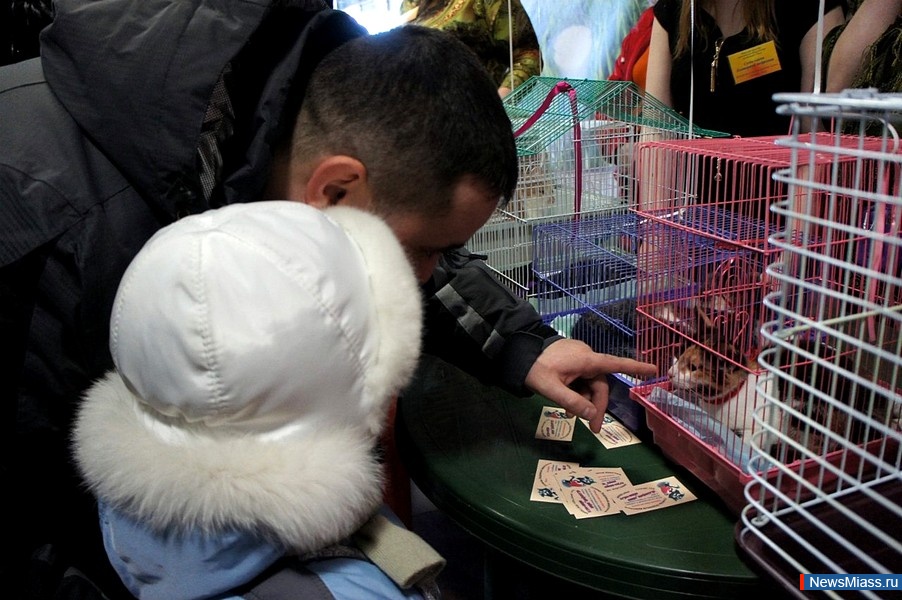 "Ҹ " -  .   "Ҹ "      ,     