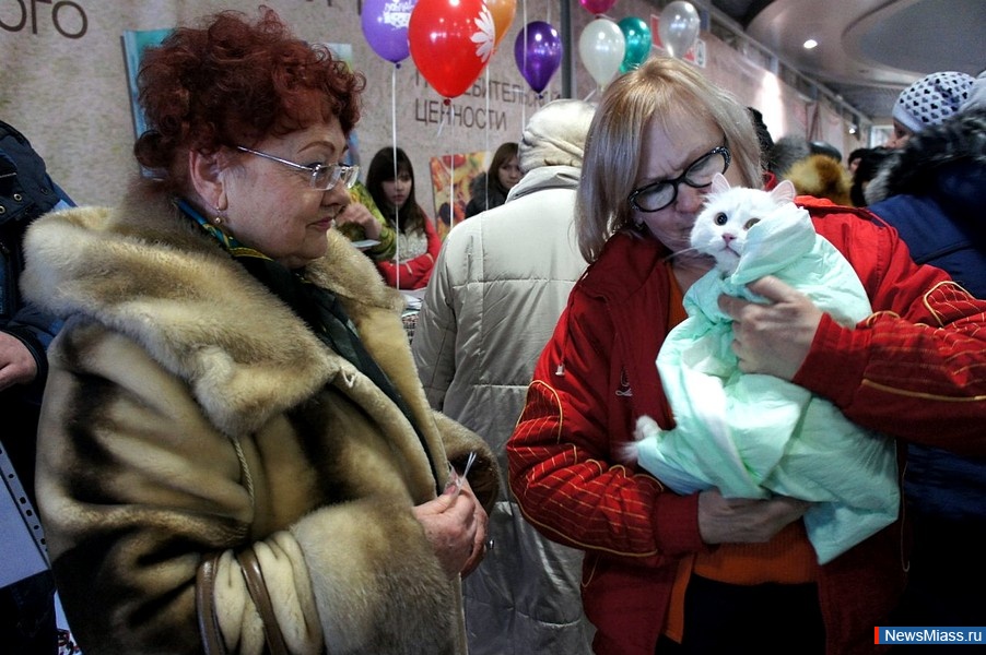 "Ҹ " -  .   "Ҹ "      ,     