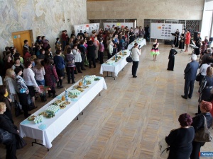 ������ ������� �������