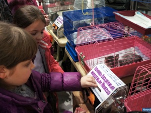 ������ ����� � ���� ������ ����� ������