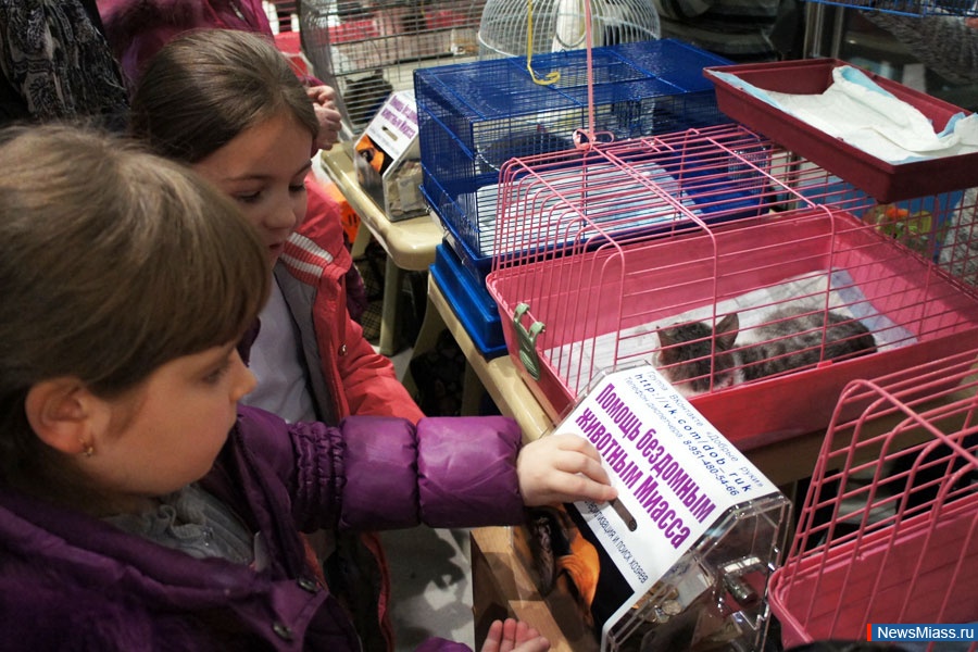       .  " ",     ,     ""