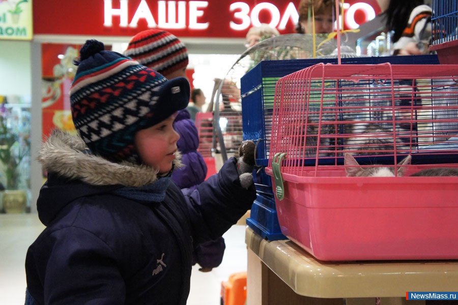       .  " ",     ,     ""