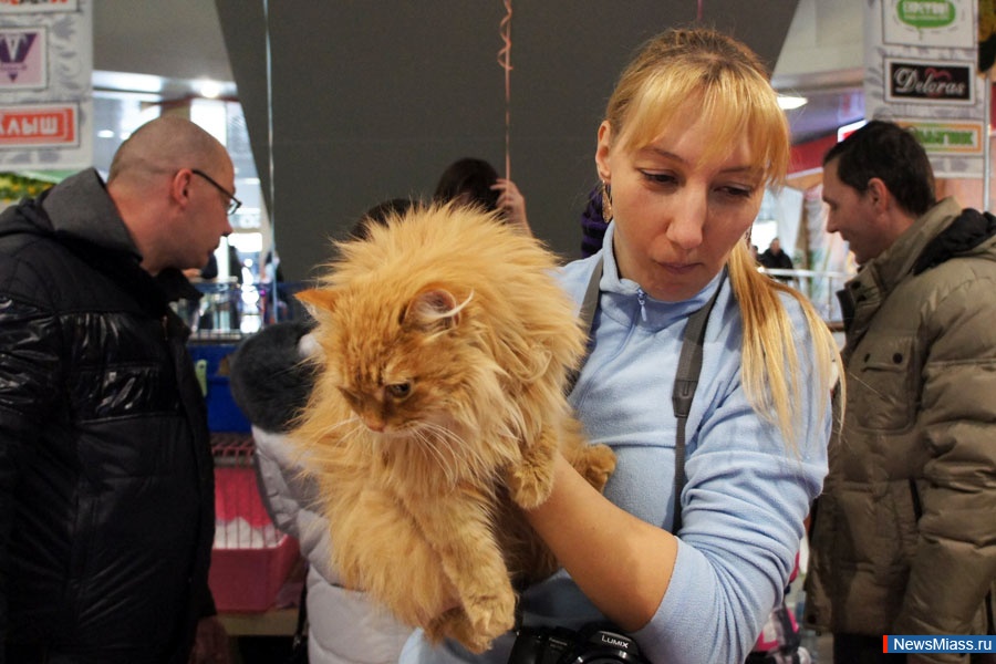       .  " ",     ,     ""