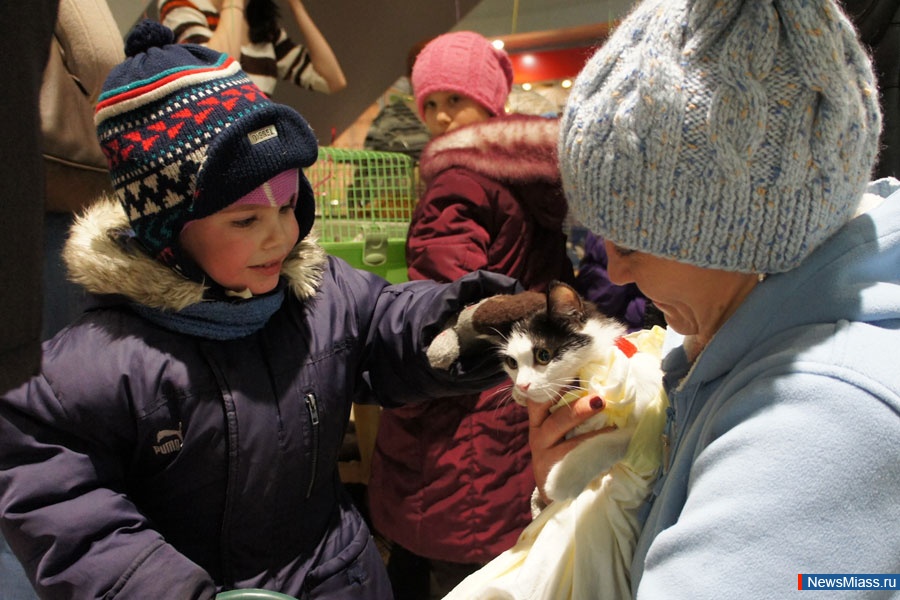       .  " ",     ,     ""