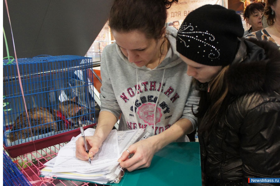       .  " ",     ,     ""