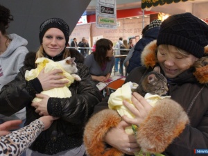 ������ ����� � ���� ������ ����� ������