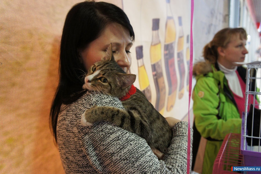       .  " ",     ,     ""