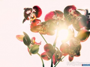 � ������������!