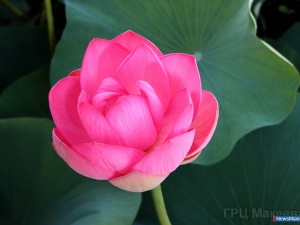 � ������������!