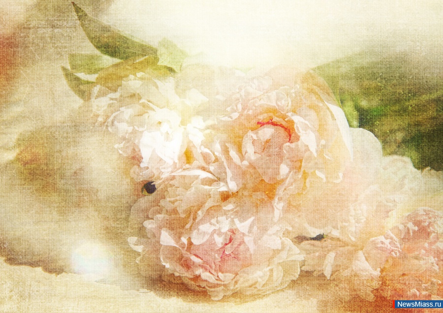 � ������������!. �������, �������� � �������������� ������ ����������� �� ������������ ����������� ����������� ����-, ���������������� ��� ����� ���������