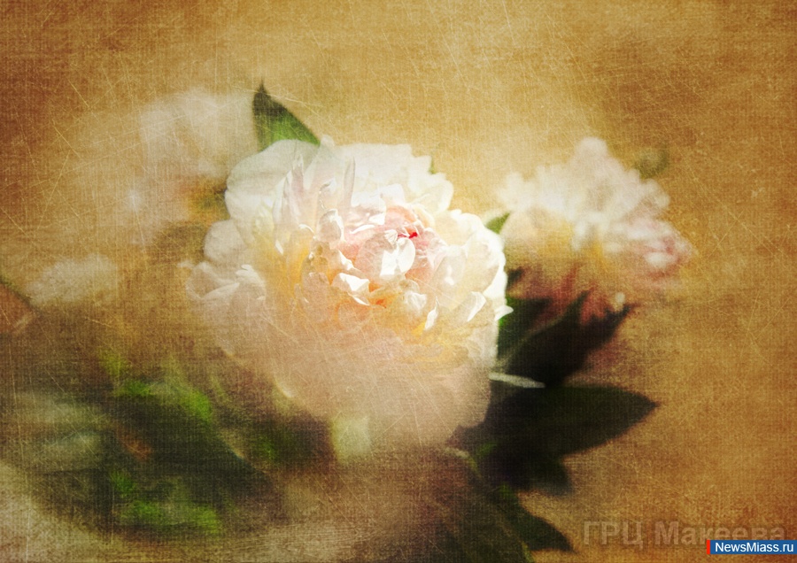 � ������������!. �������, �������� � �������������� ������ ����������� �� ������������ ����������� ����������� ����-, ���������������� ��� ����� ���������