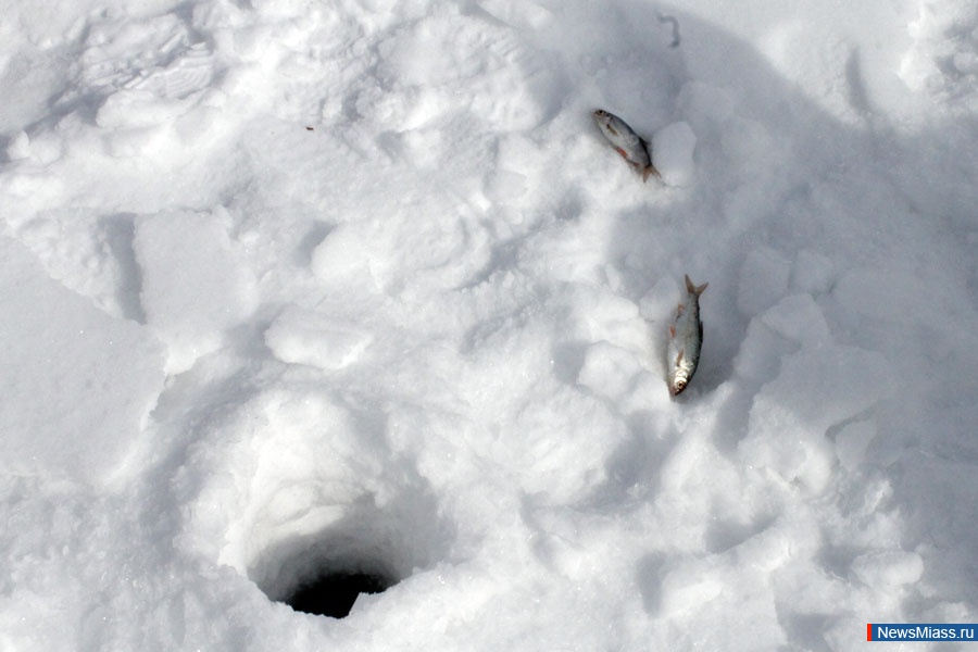 ,  " ". ,       " "       , ,   -