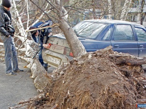 ������ ����� �� ����������