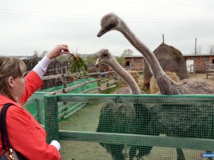 ����������� � ���������