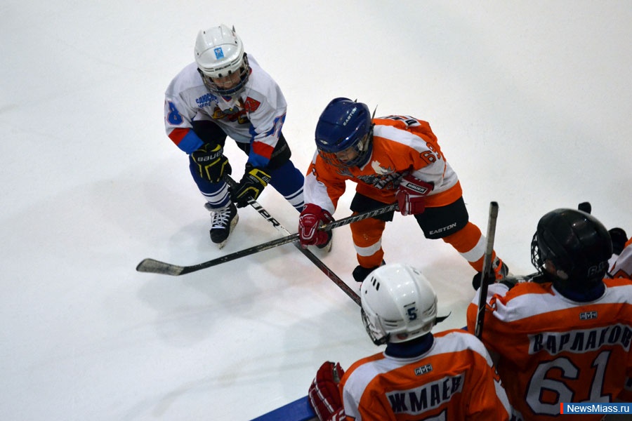  "" -   .     :    "-2004"          