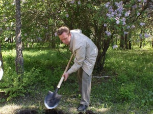 ��� - ��� ������ �������