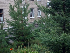 ����� ������ ���� �� �������!