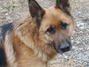 ������ � ������� - ������� � ������