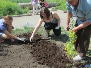 ����� ������ ������� �������� � �����