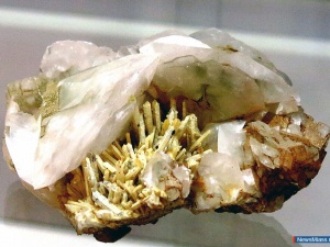 ����� ����