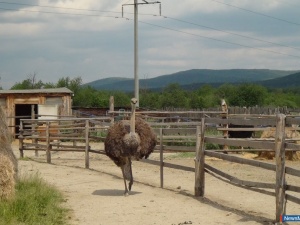 �� ��������� ������ � ������