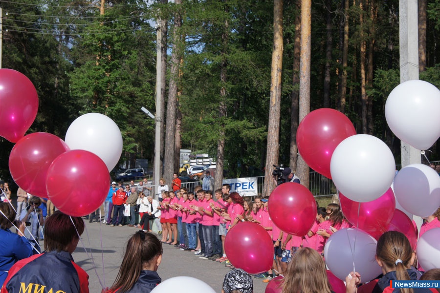   .          "   2013" - III  ISAF