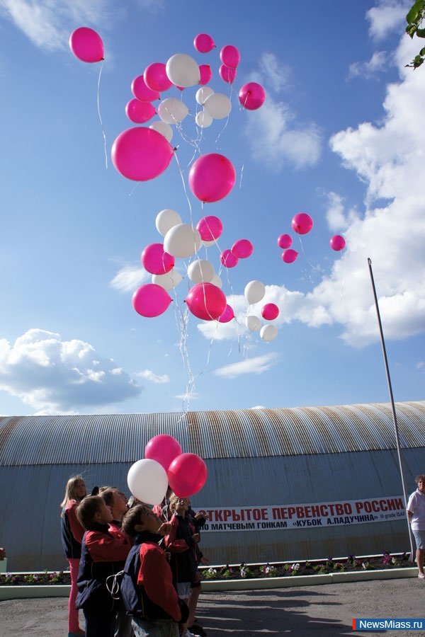   .          "   2013" - III  ISAF