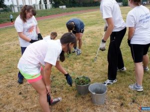 ��� �������� ����