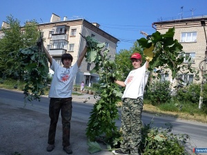 �� ���������� �������� ���� �� ������