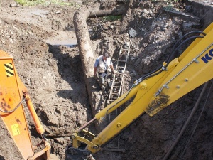 ����� �������� �� ������� 8 ������